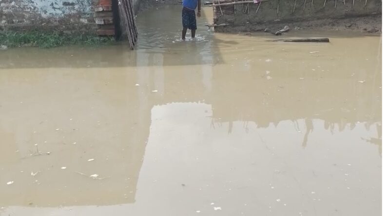 WhatsApp Image 2022 09 04 at 4.36.44 PM वर्ष 1987 से लगातार बाढ़ विभिषिका झेल रहा है दोनवारी गांव बगल अन्य गांव