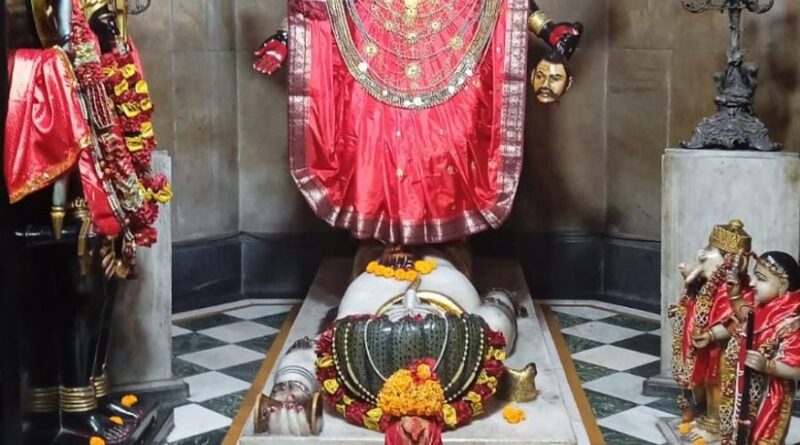 IMG 20211124 WA0166 फूलों व बिजली के रंगबिरंगे झालड़ से सजा मां का दरबार