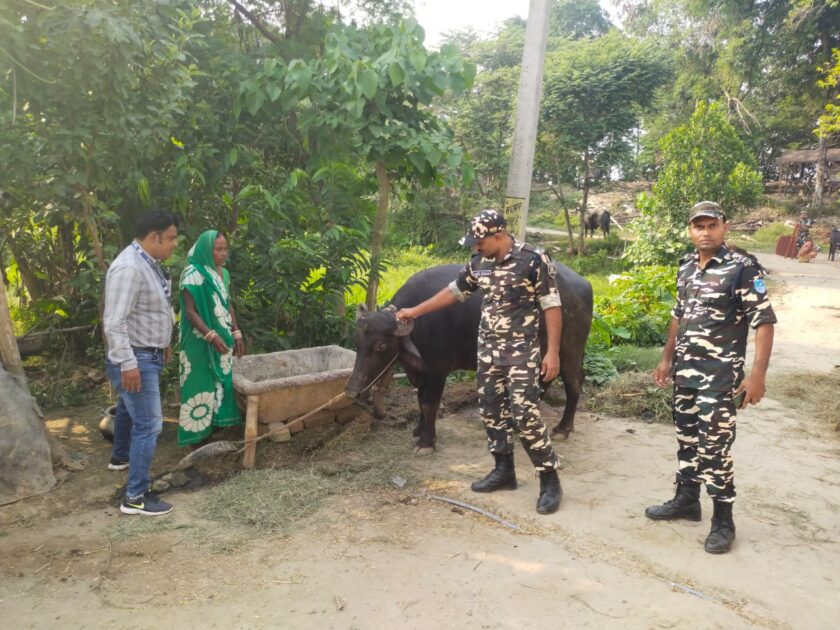 IMG 20241015 WA0005 48वीं वाहिनी सशस्त्र सीमा बल जयनगर द्वारा किया गया पशु चिकित्सा शिविर का आयोजन