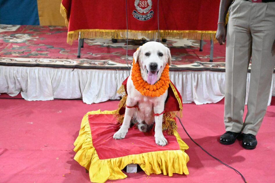 प्रशिक्षित मादक पदार्थ खोजी श्वान ‘हैन्ज़’ की गरिमामयी सेवानिवृत्ति 3 IMG 20250602 WA0004 प्रशिक्षित मादक पदार्थ खोजी श्वान ‘हैन्ज़’ की गरिमामयी सेवानिवृत्ति