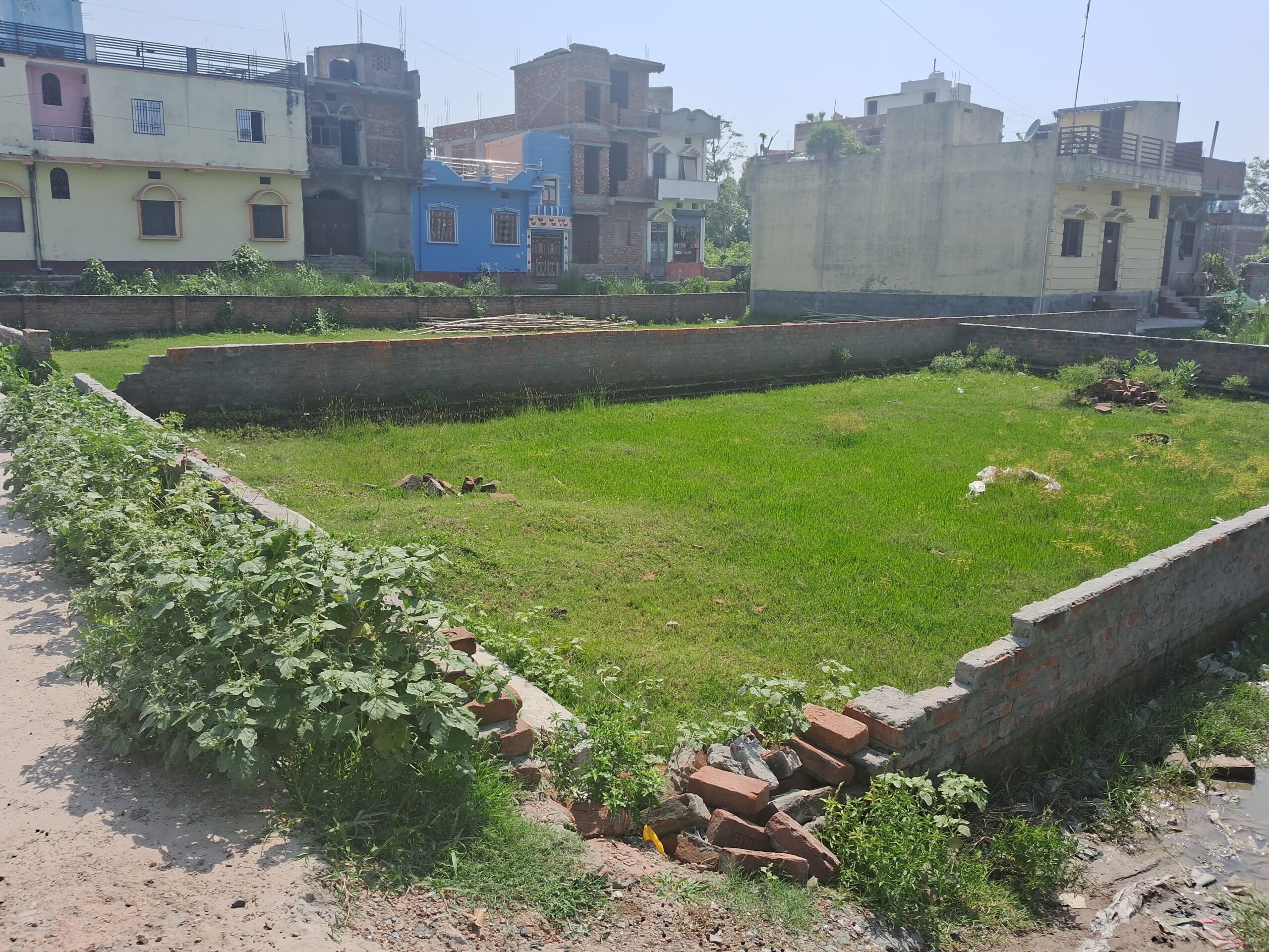 IMG 20250612 WA0002 scaled (Bihar Halchal News पर खबर चलने पर बिजली विभाग ने तुरंत की करवाई) भारतीय सेना के सेवानिवृत्त अधिकारी के जमीन से हट गया बिजली पोल, 50 हजार रुपये माँगने वाले दलाल को नहीं मिली फूटी कौड़ी भी...