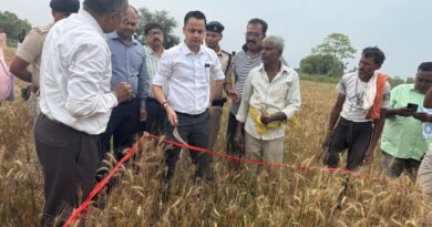जिलाधिकारी आनंद शर्मा ने जिले के किसान की खेत मे पहुँचकर गेंहू की फसल कटनी प्रयोग का किया निरीक्षण