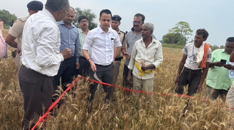 जिलाधिकारी आनंद शर्मा ने जिले के किसान की खेत मे पहुँचकर गेंहू की फसल कटनी प्रयोग का किया निरीक्षण