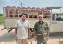 मानवता की मिसाल झाड़ी में मिली नवजात बच्ची को मिला नया जीवन और सुरक्षित ।। 2.2.जिले में विभिन्न तेल कंपनियों (IOCL, HPCL एवं BPCL) के माध्यम से गैस की पर्याप्त आपूर्ति सुनिश्चित की जा रही : DM 