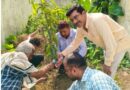 विश्व पर्यावरण दिवस पर BDO राकेश कुमार ठाकुर ने किया पौधारोपण पर्यावरण बचाओ भविष्य बचाओ