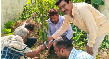 विश्व पर्यावरण दिवस पर BDO राकेश कुमार ठाकुर ने किया पौधारोपण पर्यावरण बचाओ भविष्य बचाओ