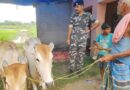 SSB जयनगर द्वारा 171 लीटर नेपाली शराब एवं दो मोटरसाइकिल जब्त।। 2.SSB द्वारा वाइब्रेंट विलेज बेलही में पशु चिकित्सा नागरिक कल्याण शिविर का आयोजन
