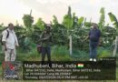 पंचायत में मनरेगा की जांच PO और पूरी टीम रही मौजूद
