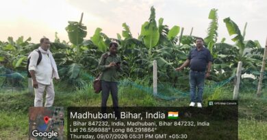 पंचायत में मनरेगा की जांच PO और पूरी टीम रही मौजूद
