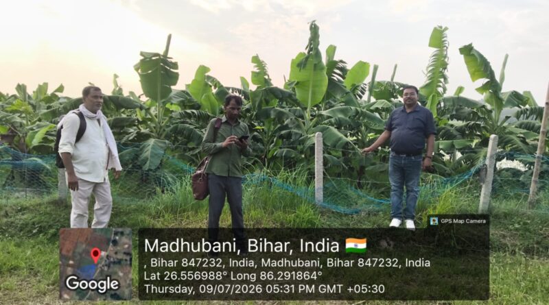 पंचायत में मनरेगा की जांच PO और पूरी टीम रही मौजूद