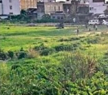  ट्रांसफर के 3 दिन बाद सीओ ने किया 47 पर केस, मेयर-डिप्टी मेयर के रिश्तेदार शामिल, शहर मचा हरकंप